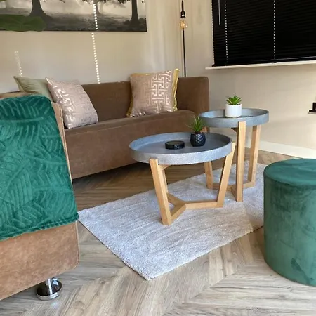 Holiday park Chalet Forel Op De Veluwe In *