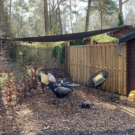 Chalet Forel Op De Veluwe In Holiday park *