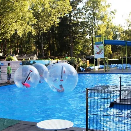 Chalet Forel Op De Veluwe In *
