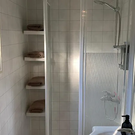 Holiday park Chalet Forel Op De Veluwe In *