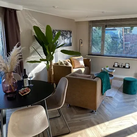 Chalet Forel Op De Veluwe In Vakantiepark Hoenderloo