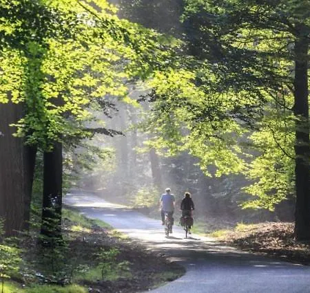 Chalet Forel Op De Veluwe In