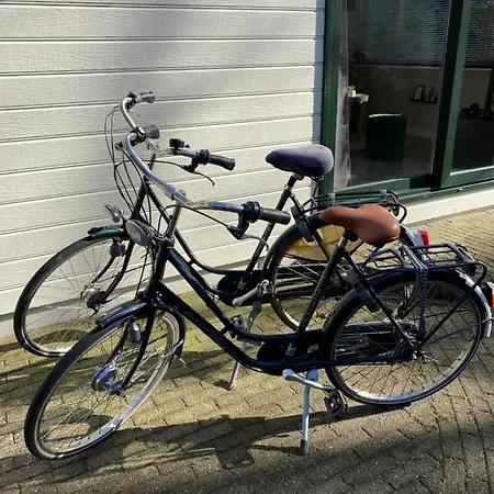 Chalet Forel Op De Veluwe In Vakantiepark *